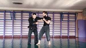 Кото рю коппо дзюцу (сэтто) Будзинкан и вариации