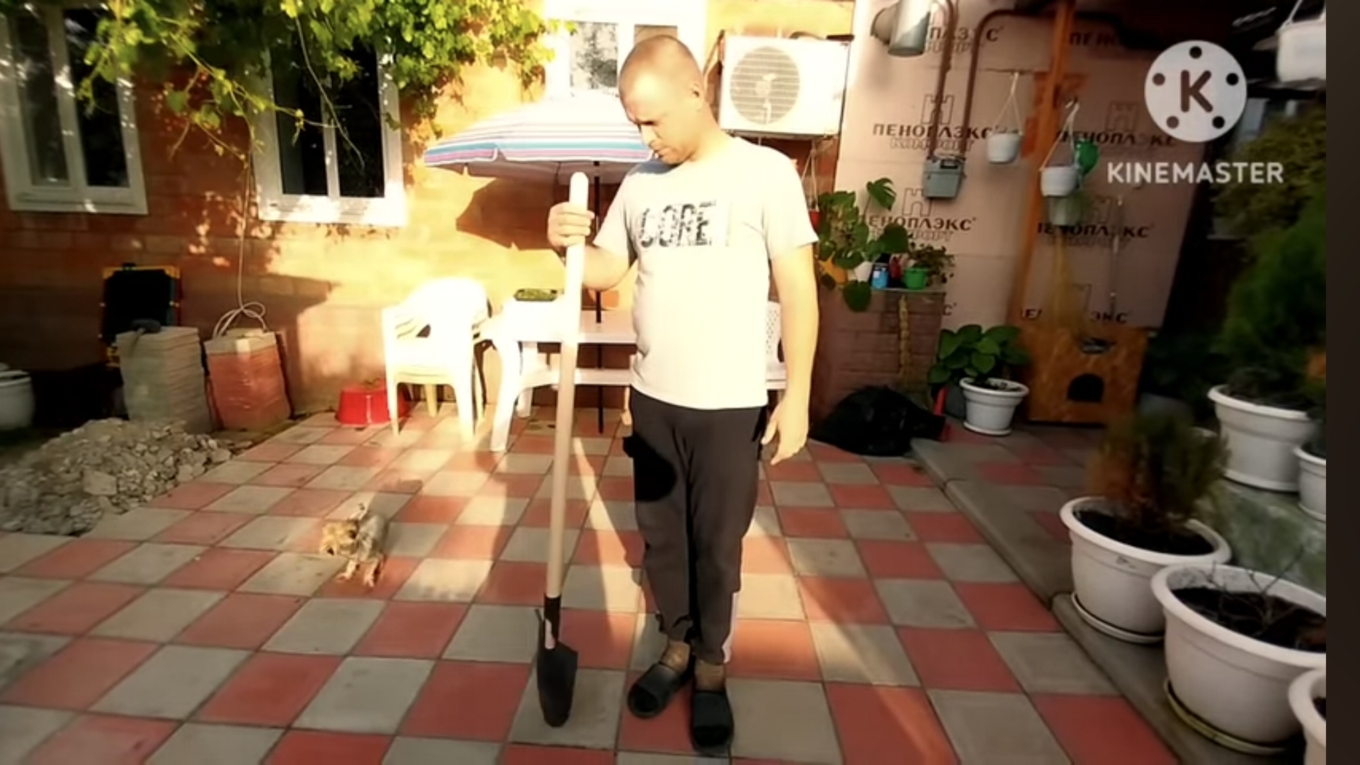 мы родились в Сибири//бизнес на хомяках//обзор канала смотреть онлайн