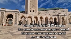 Марокко. Что посмотреть за 1 день в Касабланке.Экскурс?