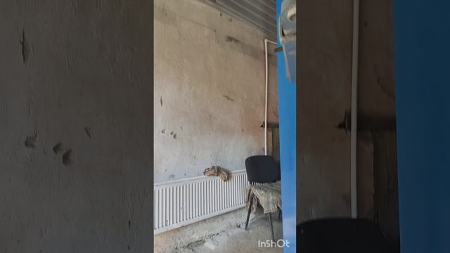 Гранта быстрая замена сайлентблоков балки смотреть онлайн