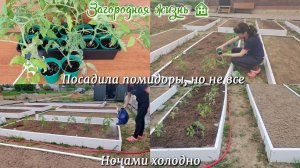 #123 ЗАГОРОДНАЯ ЖИЗНЬ 🏠 Посадила помидоры, но не все. Ночами холодно