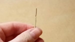 Подключить патрон к проводу. Как подключить патрон Е27?