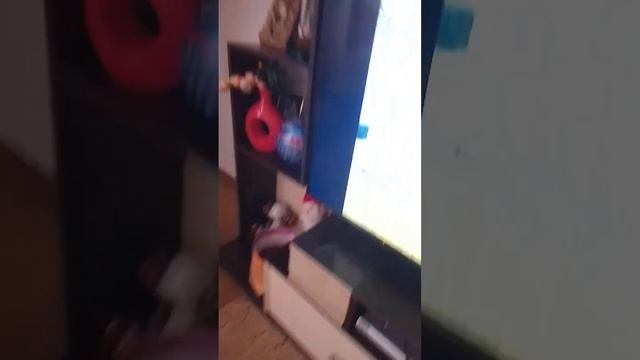 песня, про тошку картошку 🎀 картошка тошка🥔🍟 смотреть онлайн