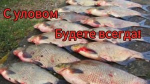 Уловистая и простая оснастка на леща и карпа.