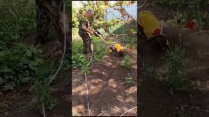 Работа электрическим культиватором  Huter EMC - 1600.