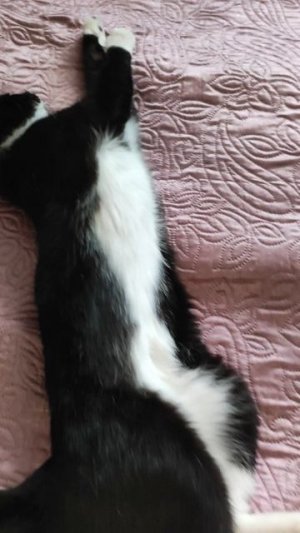 Я б так жил!