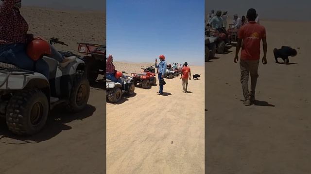 Сафари в Хургаде #египет #хургада #сафари