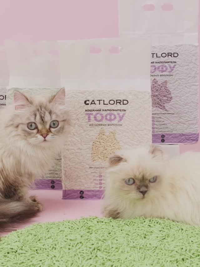 Реклама наполнителя для кошачего туалета смотреть онлайн