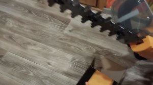 Распаковка — Кусторез Deko DKBC56