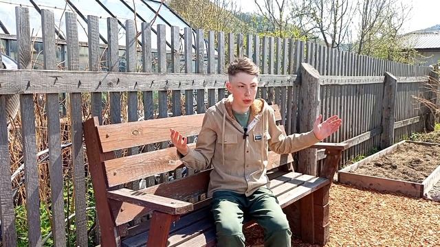 КАК Я РАНЬШЕ НЕ ДОДУМАЛСЯ? Супер удобные грядки! смотреть онлайн