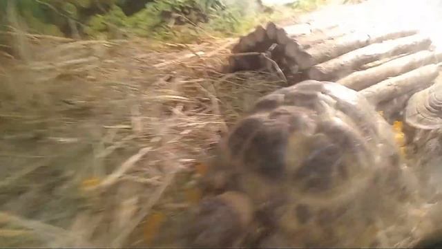 Полезные бутерброды с тунцом и луком-шалот👌🫦