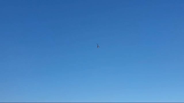 T-rex 600 смотреть онлайн