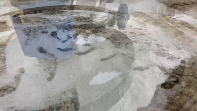 Профессиональная чистка ковров в Краснодаре смотреть онлайн