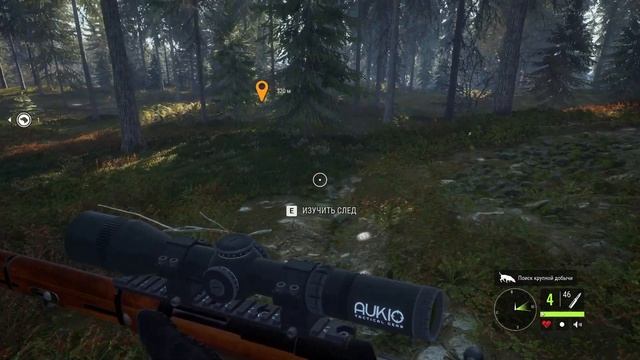 TheHunter: Call Of The Wild #10 Сюжетное задание на медведей | Лейто?