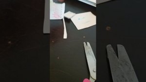 бумажные собаки 😋♥️ распаковка 🥳1 часть.