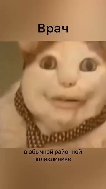 Смотри до конца