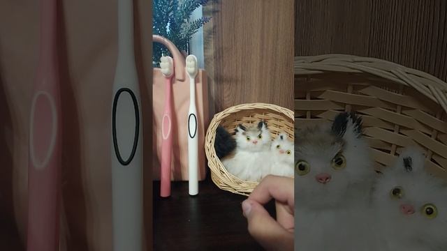 необычные зубные щетки АСМР ТОВАР С ВБ #асмр #асмрвиде?