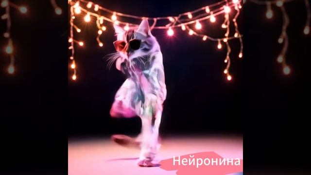 Кот танцует Брейк Данс смотреть онлайн
