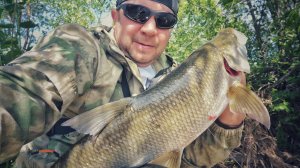 Ловля трофейного ЖЕРЕХА на малых реках. Как поймать и где искать - воблер DUO Incubator Drop 75