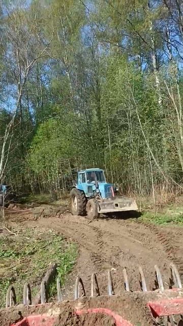 едем с первого поля #мтз #мтз1221 #рекомендации #shorts смотреть онлайн