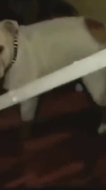 Стас Барецкий падает с лестницы и дико пердит смотрет? смотреть онлайн