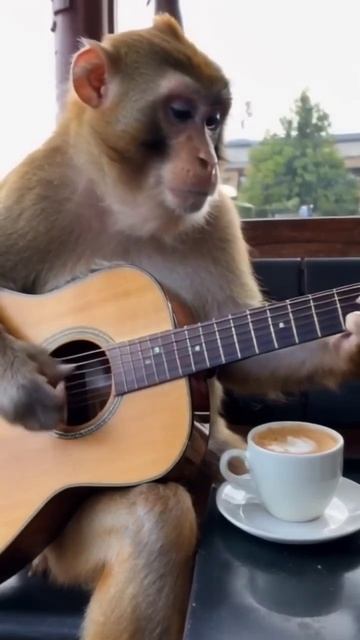 Инструменты и результаты