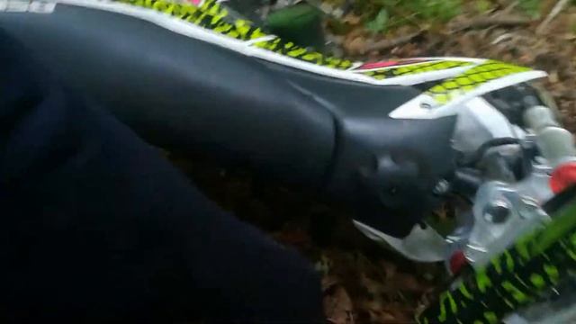 ПОКАТУШКИ |ПУТЬ БОБРА |БЕЗ ЗАДНИХ ТОРМОЗОВ НА ПИТБАЙКЕ