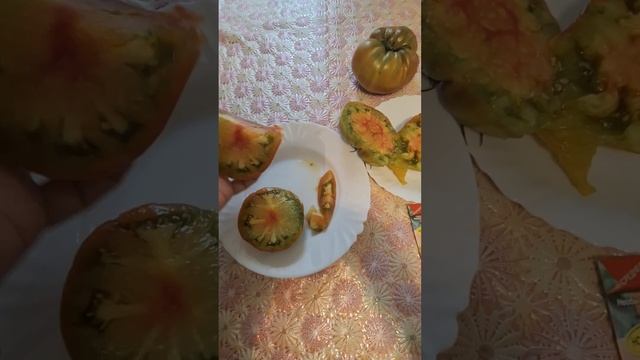 Дегустация томатов 