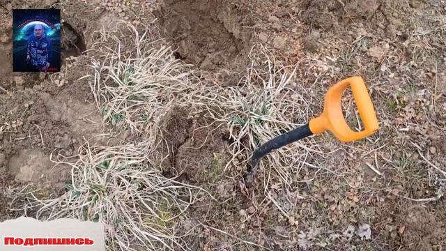 ПЕРВЫЙ ВЫХОД С АКА СИГНУМ МФД/ЦАРИ И СОВЕТЫ#metaldetecting#ко?