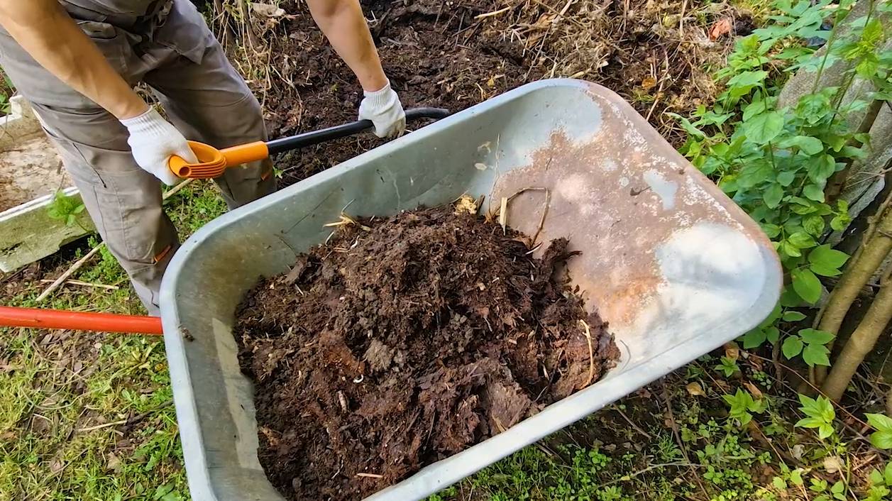 Результаты ОБСЛЕДОВАНИЯ. Разбираем КОМПОСТ. Семья Носорогов. смотреть онлайн