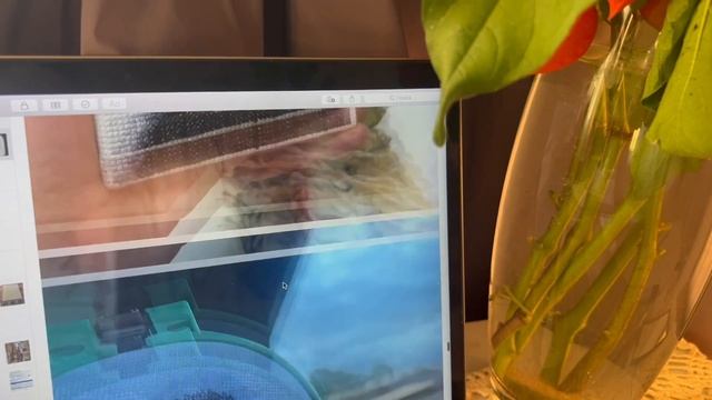 Руквлог#140: Drawing Sweater & Magic Wanda смотреть онлайн