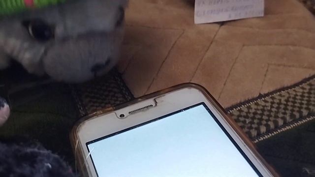 ❄️🌸Снег весной и поиск нормального телефона БЕЗ ФОК