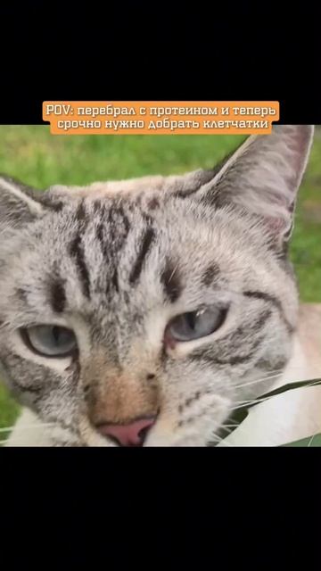 Теперь не придётся жевать всё подряд!😏🥤