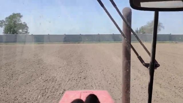 Сею суданскую траву сеялкой Hassia, смотрю всходы люцерн?