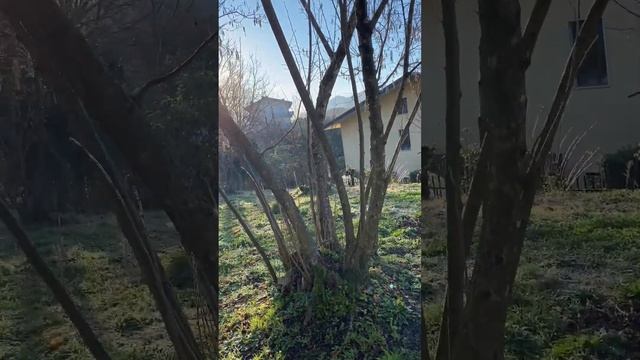 Мой земельный участок, участок земли