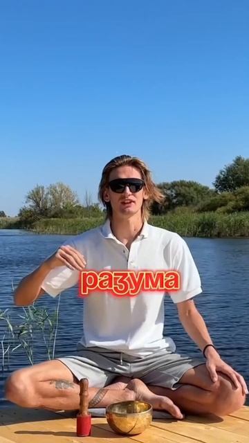 КАК УСЛЫШАТЬ ГОЛОС ДУШИ? #душа #осознанность #психология #медитация #саморазвитие #просветление смотреть онлайн