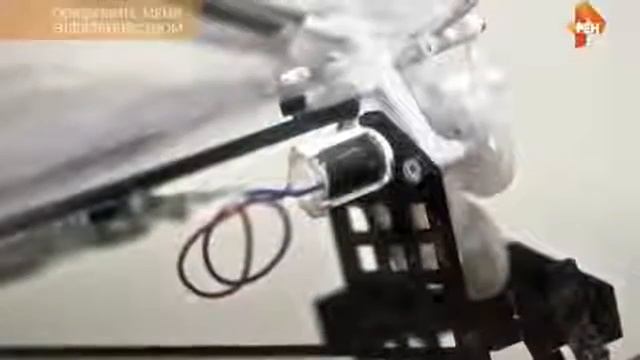 Самые шокирующие гипотезы. Покормите меня электричес?