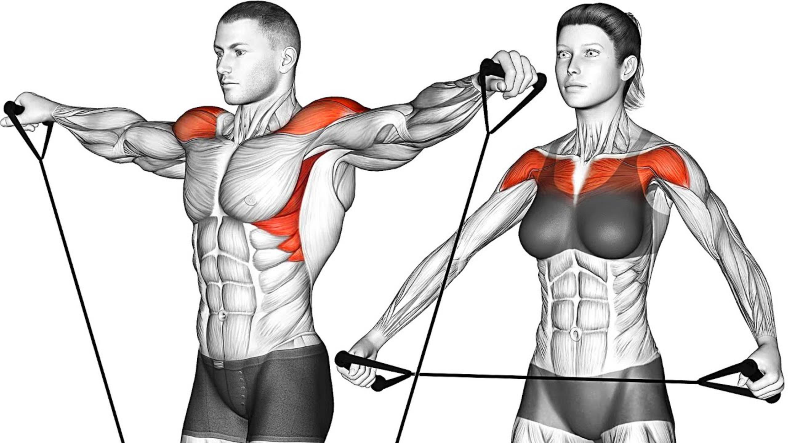 9 Упражнений с Ремнями для Тренировки с собственным весом смотреть онлайн