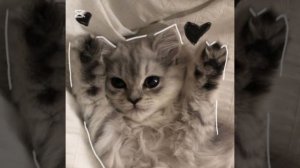 Песни для кайфа, уборки и просто послушать в наушниках