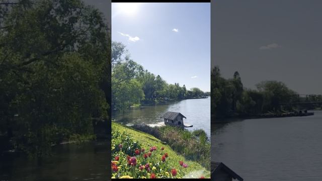 Просыпаемся, люди! смотреть онлайн