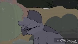 коты воители Crash