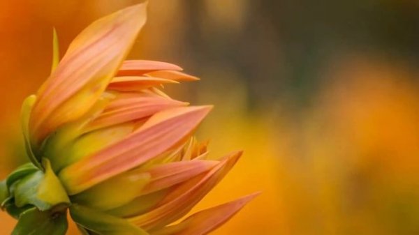 Сборник самых невероятно красивых, трогает до глубины