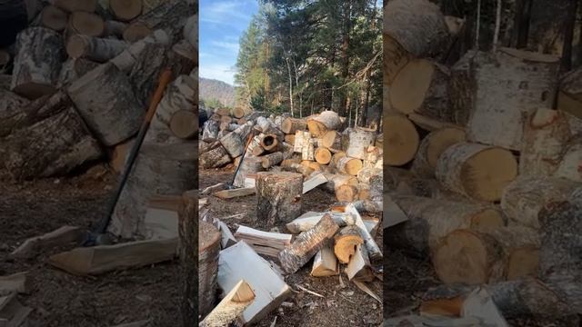 Утренняя колка дров на Алтае🇷🇺🪵🪓🏔️ смотреть онлайн
