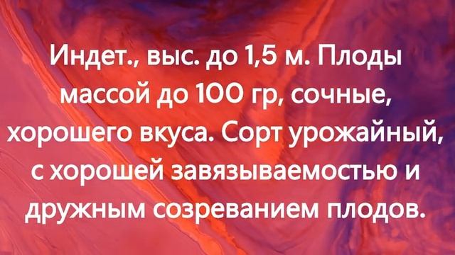 ТОМАТЫ. Раннеспелые сорта томатов. г.  Киров