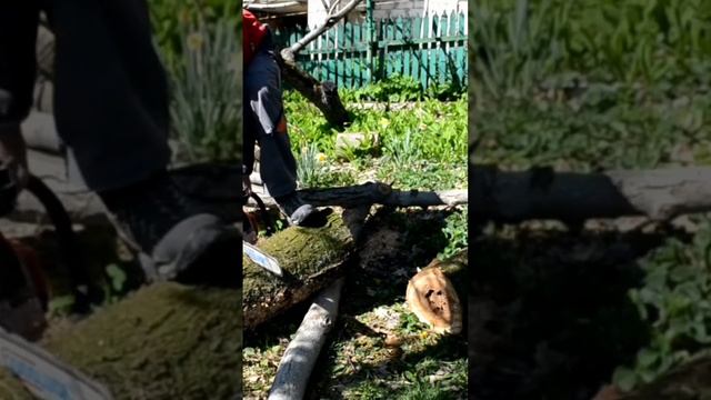 Почему бензопила останавливается врезу смотреть онлайн