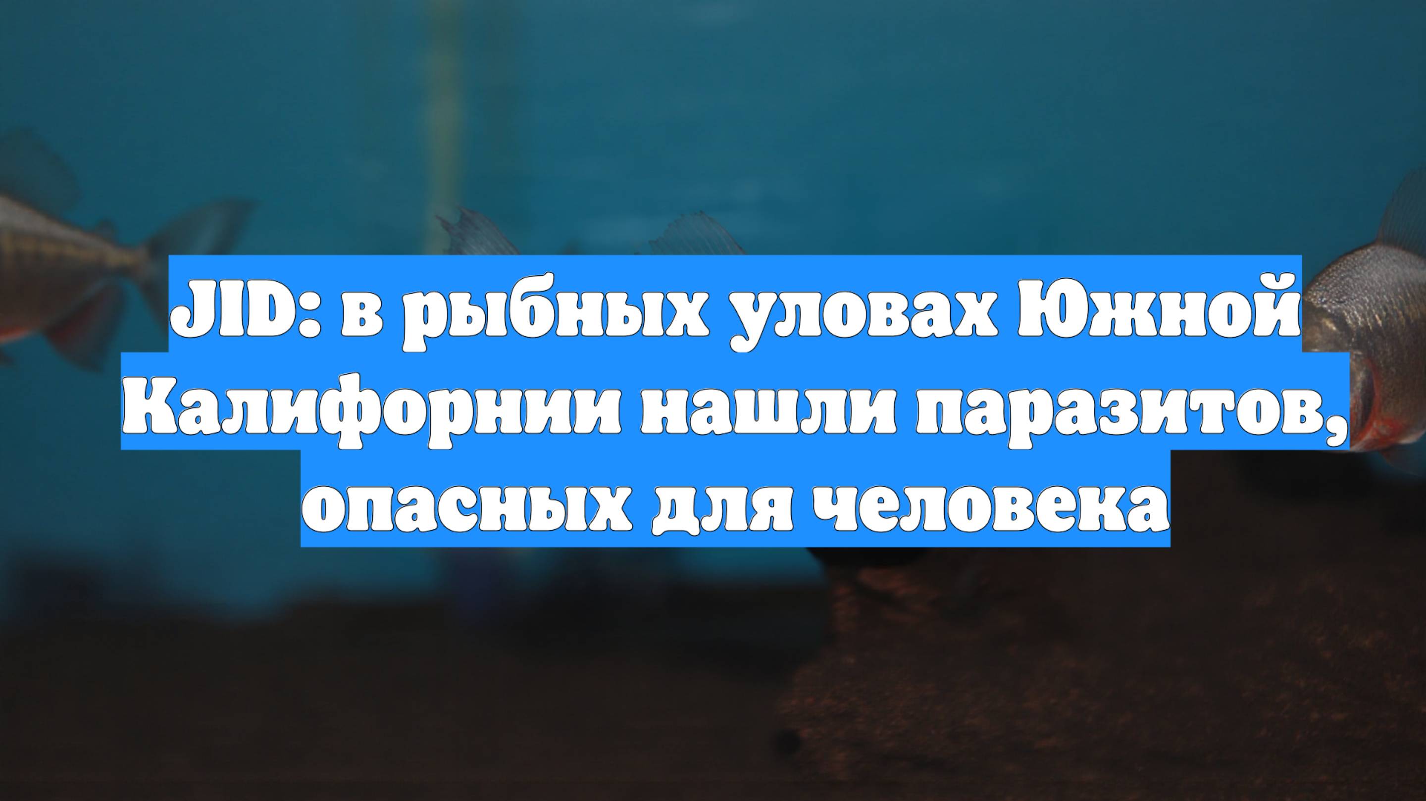 JID: в рыбных уловах Южной Калифорнии нашли паразитов, опасных для человека