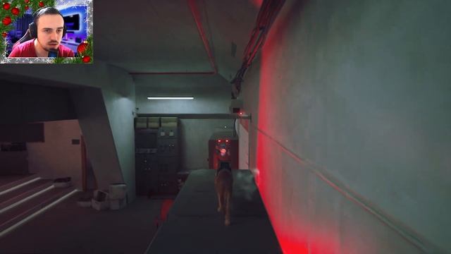 STRAY ► ФИНАЛ #14