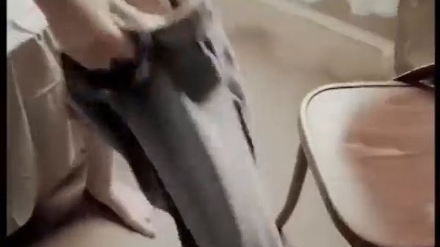 Bиa Гра-,, Цветок и Нож"-# Вспомним нашу группу, посмотри? смотреть онлайн