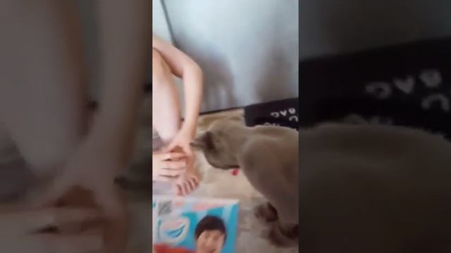 Влог❤🦋иду на дополнительные занятия по английскому смотреть онлайн