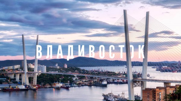 Владивостокская суета